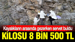 haber-gorseli-1786371709563