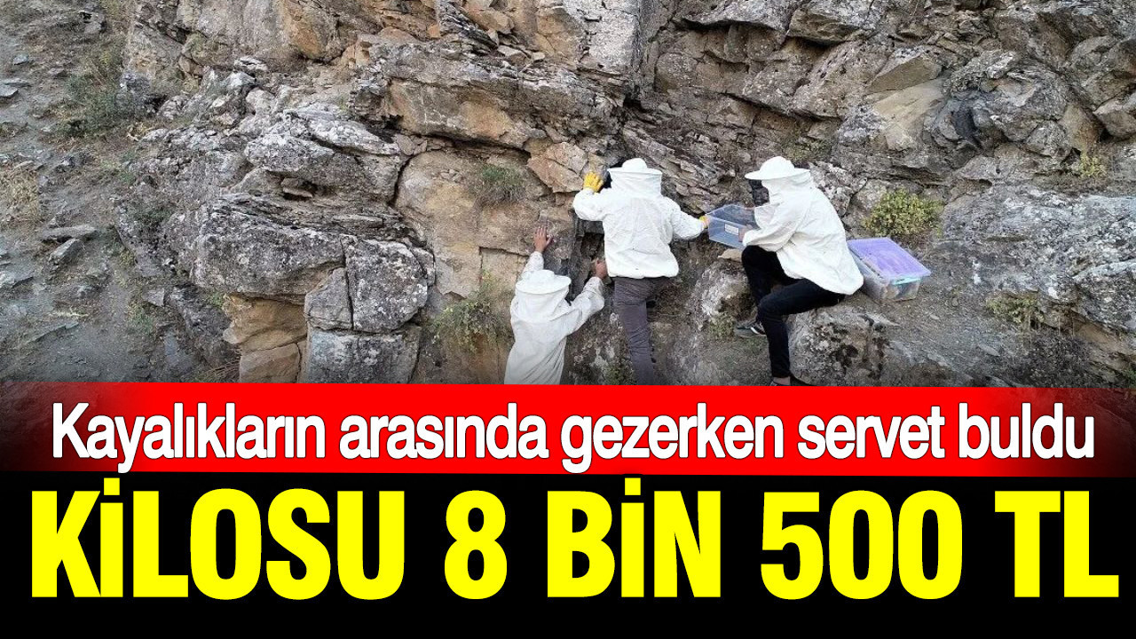 haber-gorseli-1786371709563